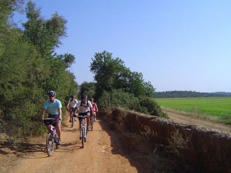 Alcantarilha to Silves